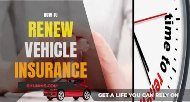 Renew Vehicle Insurance: A Quick Guide