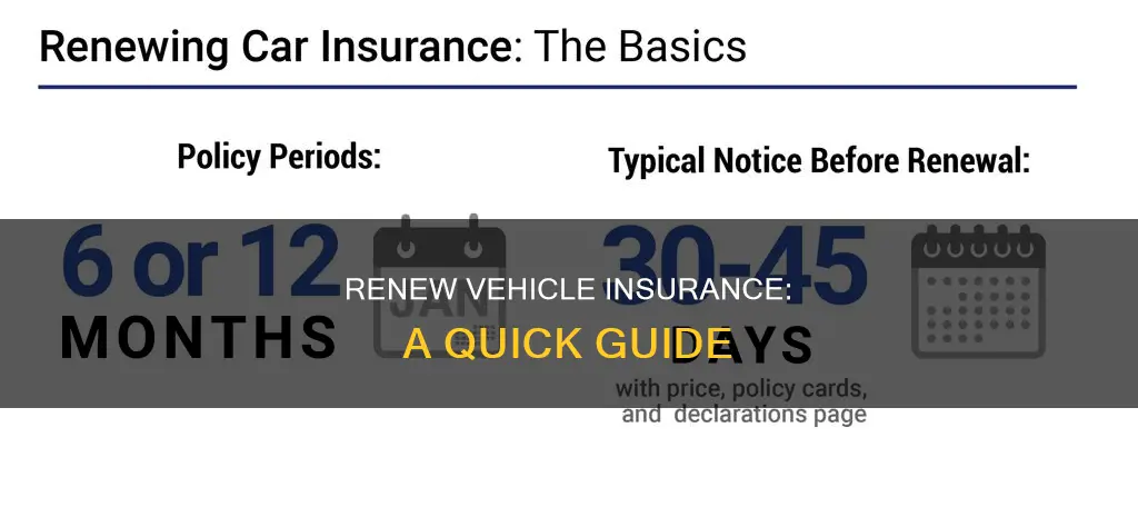 how to renew vehicle insurance