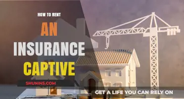 Renting an Insurance Captive: A Step-by-Step Guide for Businesses