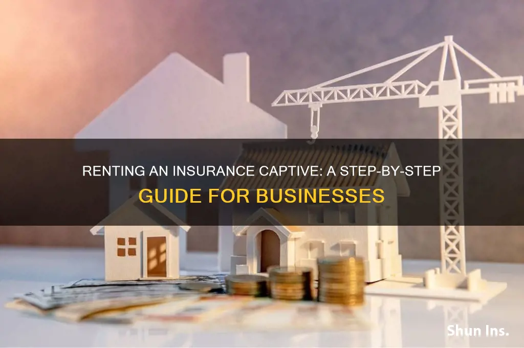 how to rent an insurance captive