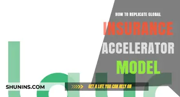 Replicating Global Insurance Accelerator Models: Strategies for Success and Innovation