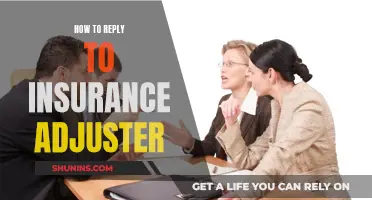 Crafting a Strategic Response: Navigating the Insurance Adjuster's Queries