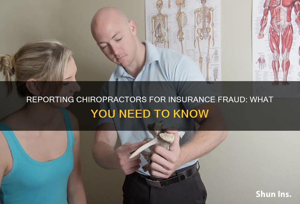 how to report a chiropractor for insurance fraud