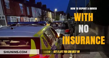 Reporting an Uninsured Driver: What You Need to Know