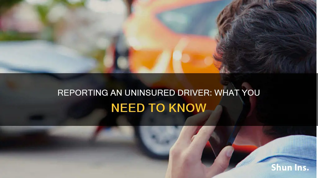 how to report a driver with no insurance