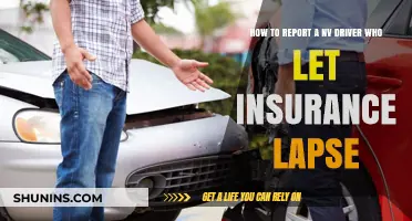 Reporting a Nevada Driver with Lapsed Insurance