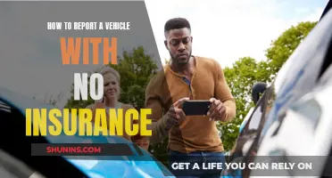 Report Uninsured Vehicles: A Quick Guide