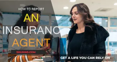 Reporting an Insurance Agent: What You Need to Know