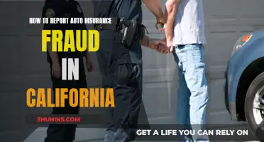 Reporting Auto Insurance Fraud in California: What You Need to Know