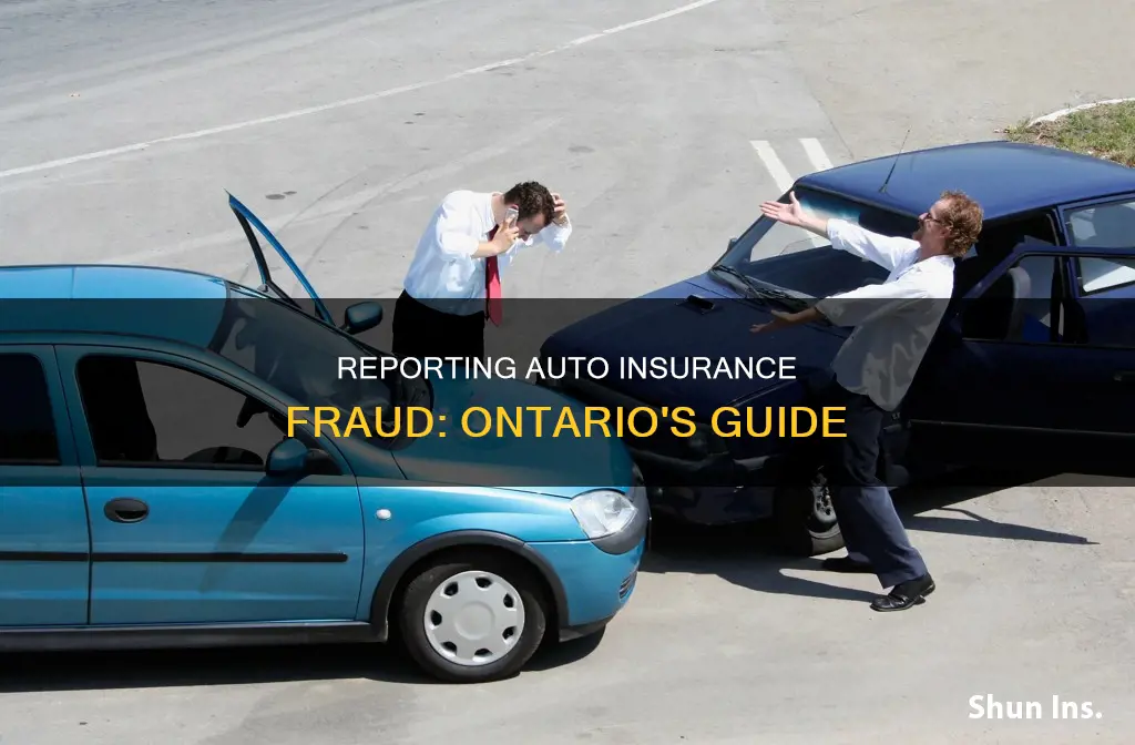 how to report auto insurance fraud in ontario