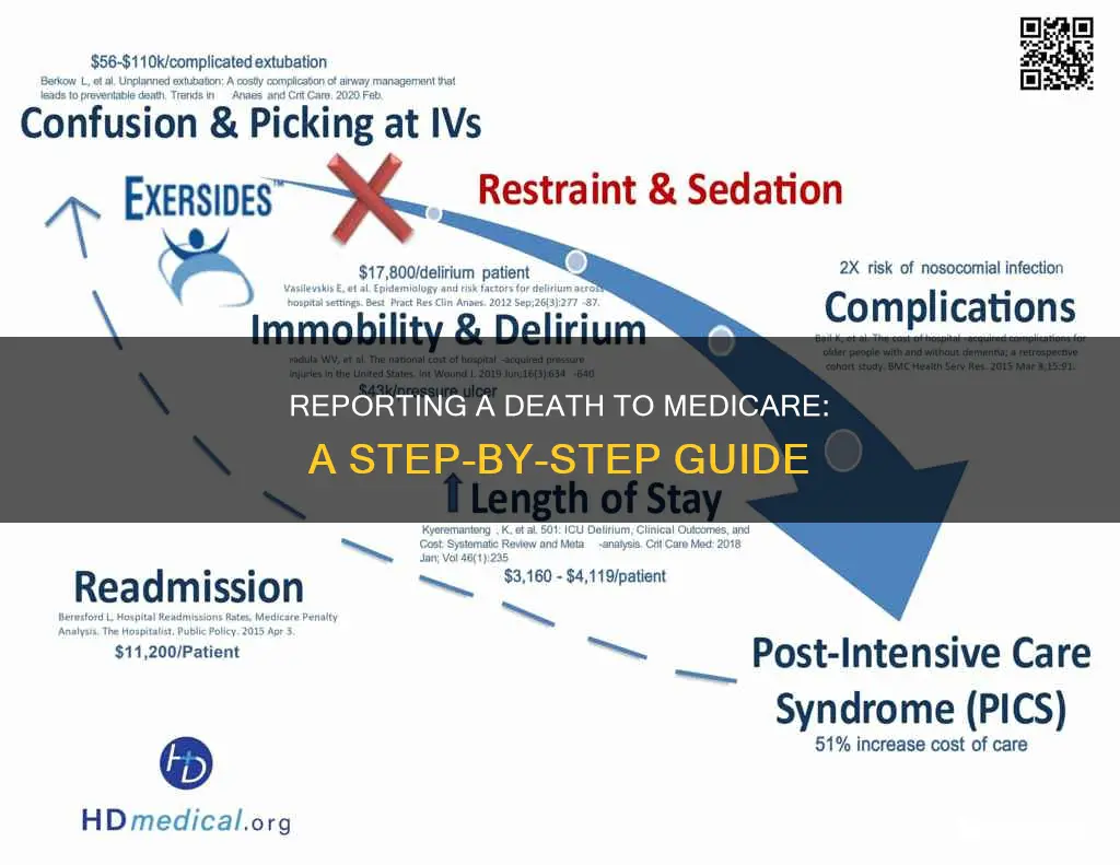 how to report death for medicare secondary insurance