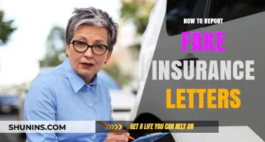 Reporting Fake Insurance: Your Action Plan