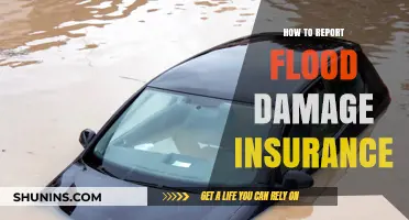 Reporting Flood Damage: Insurance Claims Simplified