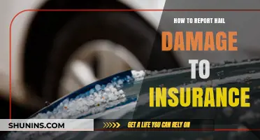 Reporting Hail Damage: Insurance Claims Simplified