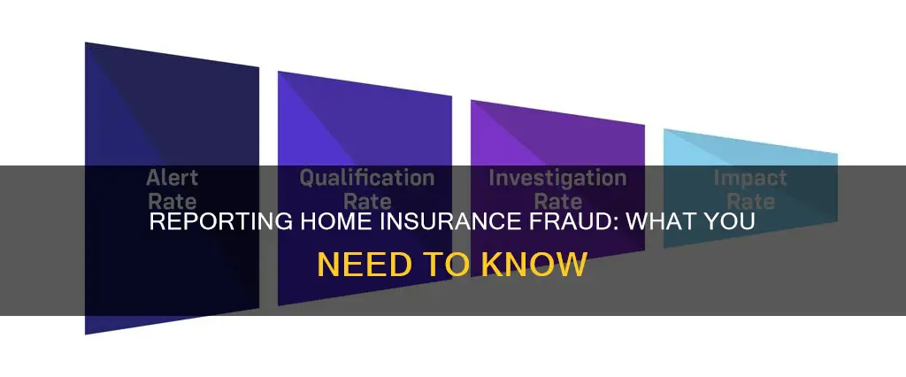 how to report homeowners insurance fraud