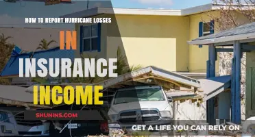 Reporting Hurricane Losses: Insurance Income Tax Guide