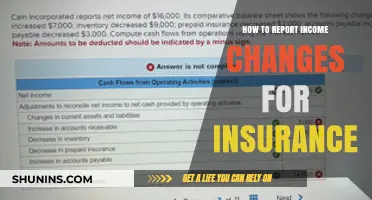 Report Income Changes: Insurance and Your Finances