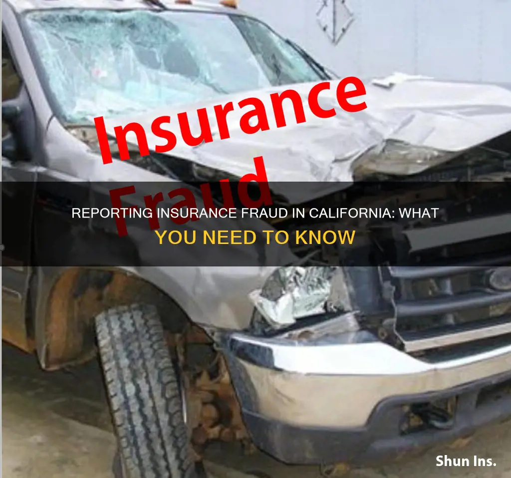 how to report insurance fraud in ca