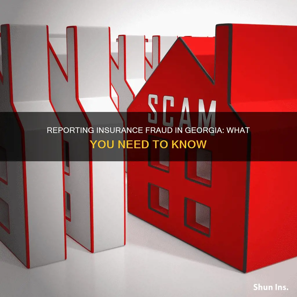 how to report insurance fraud in ga