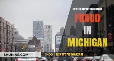 Reporting Insurance Fraud in Michigan: What You Need to Know
