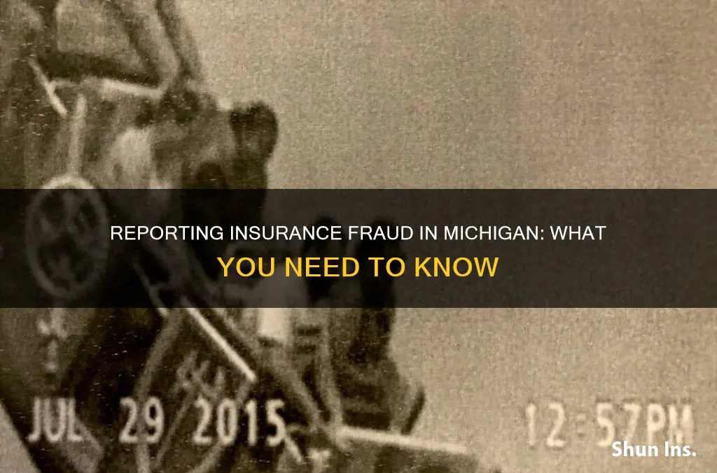 how to report insurance fraud in Michigan