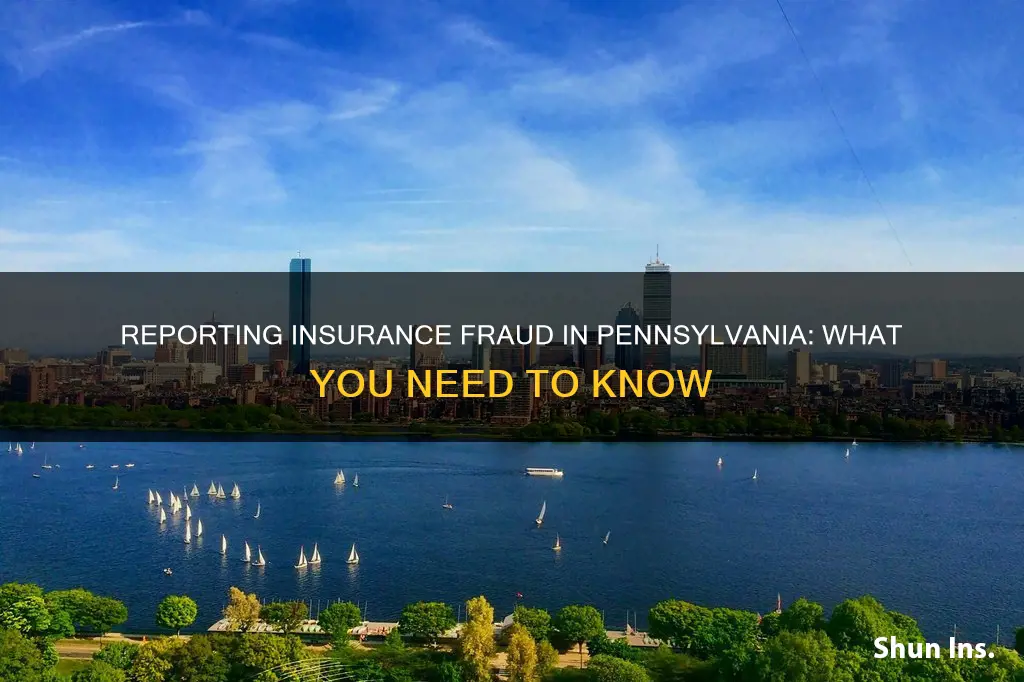 how to report insurance fraud in pa
