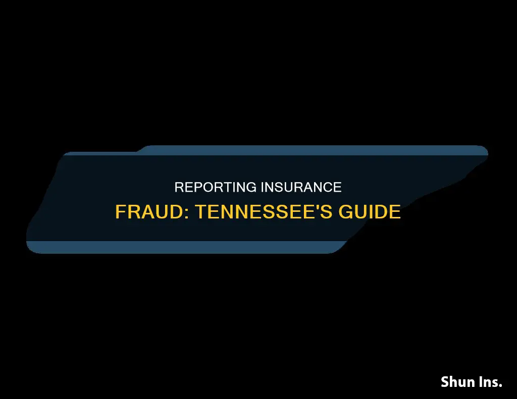 how to report insurance fraud in Tennessee