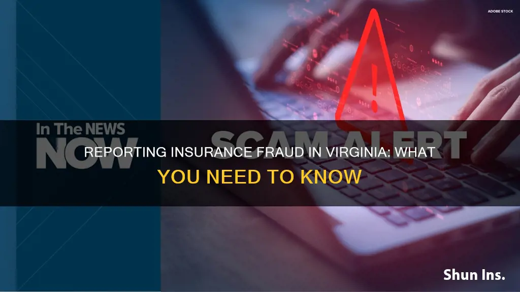 how to report insurance fraud in Virginia