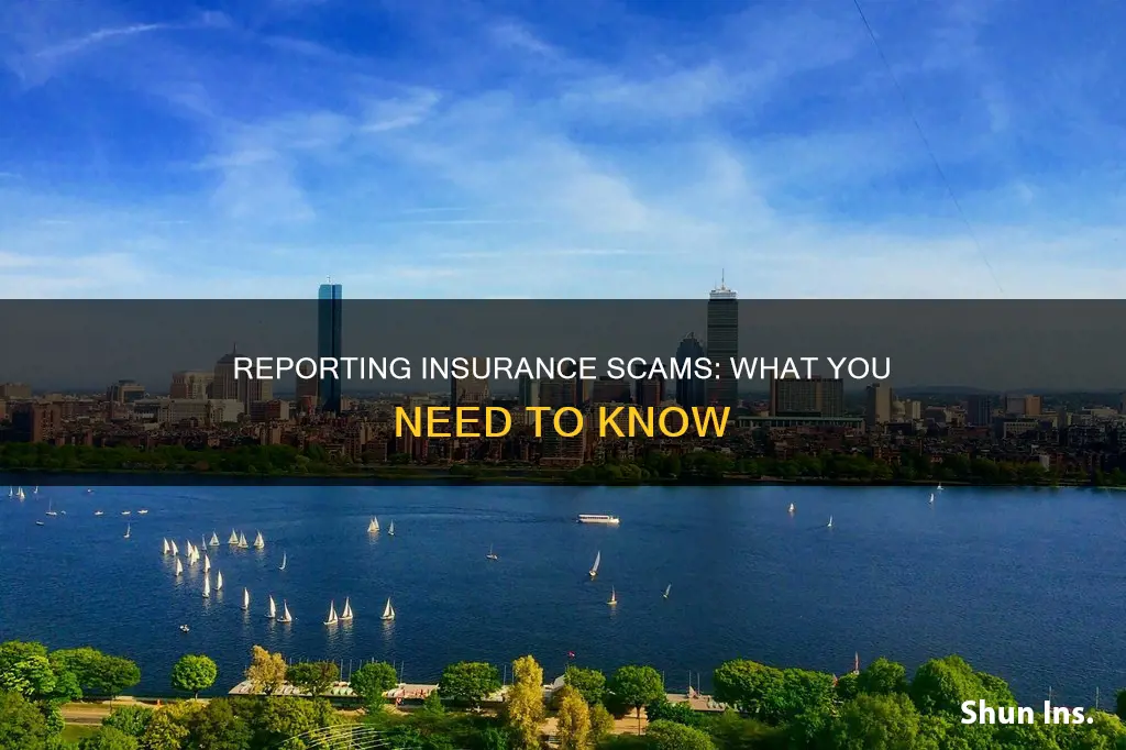 how to report insurance scams