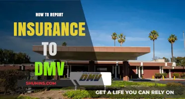 Reporting Insurance to DMV: A Step-by-Step Guide
