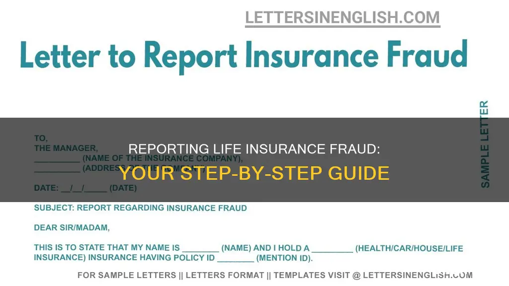 how to report life insurance fraud