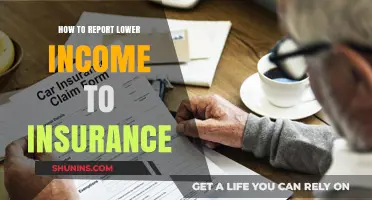 Strategies to Report Lower Income for Insurance Benefits