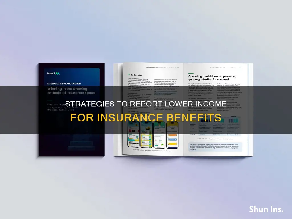 how to report lower income to insurance