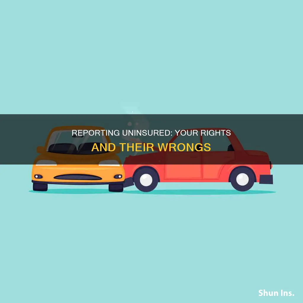 how to report someone with no insurance