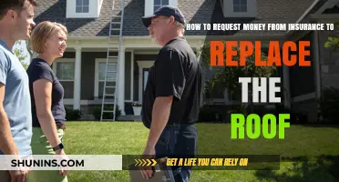 Claiming Roof Replacement: Navigating Insurance Payouts