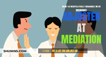 Navigating Mediation: The Art of Respectful Disagreement with Insurance Adjusters