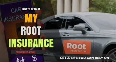 Restarting Your Root Insurance: A Step-by-Step Guide to Renewal