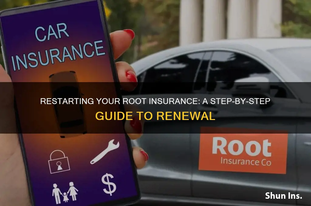 how to restart my root insurance