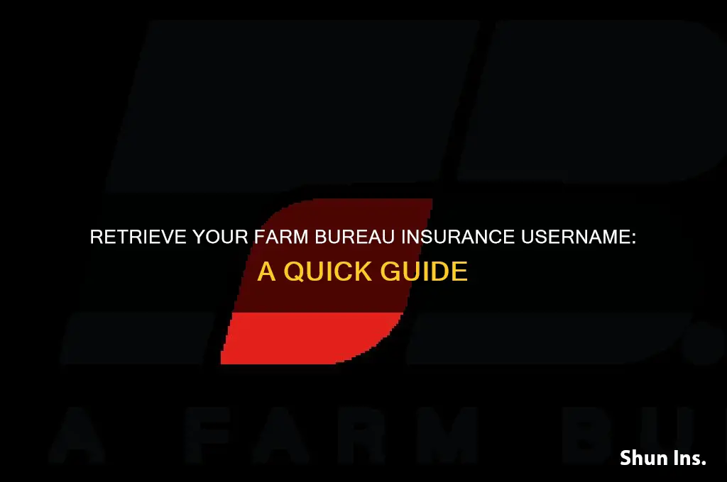 how to retrieve username on farm bureau insurance site