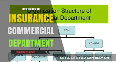 Strategies for Running a Successful Insurance Commercial Department