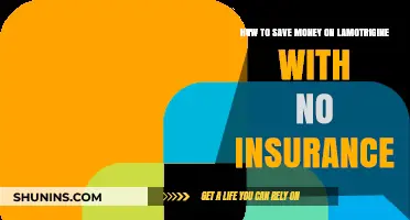 Lamotrigine: Saving Money Without Insurance