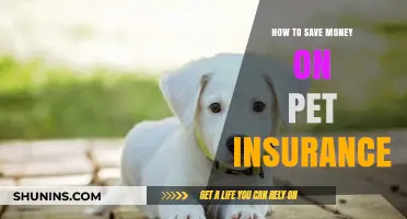 Smart Ways to Save Money on Pet Insurance
