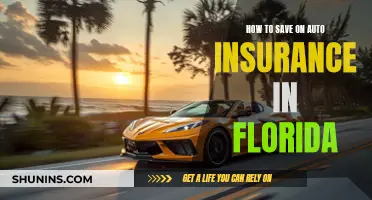 Florida Auto Insurance: Save Money, Know the Tricks