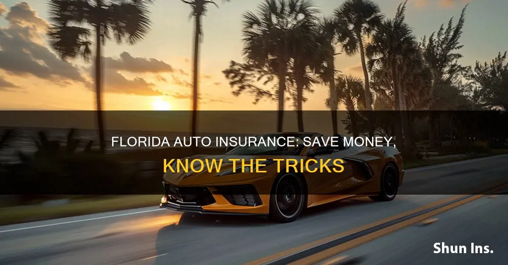 how to save on auto insurance in Florida