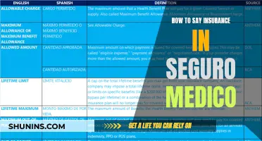 Understanding Seguro Medico: Mastering the Language of Insurance