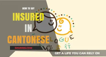Mastering Cantonese: Learn How to Say 'Insured' in Daily Conversations
