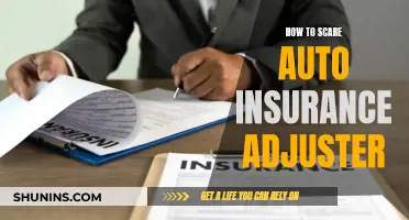 Intimidate Insurance Adjusters: Know Your Rights, Get Fair Compensation