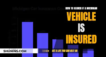 Michigan Vehicle Insurance: Quick Online Check