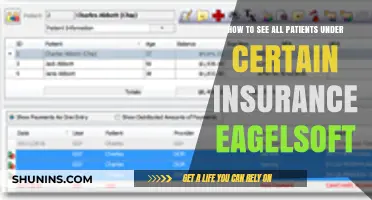 Eaglesoft Guide: Viewing Patients by Insurance Type Easily