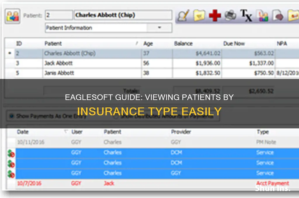how to see all patients under certain insurance eagelsoft